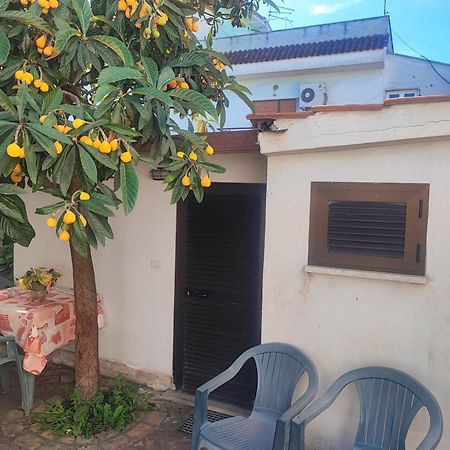 Apartament Little Lucia Acilia Zewnętrze zdjęcie